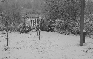 Огород круглый год.