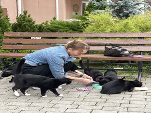 Счастье-статьи