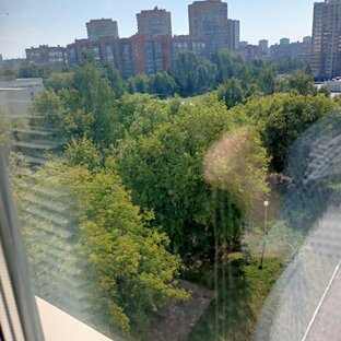 Природа видео. Прогулки по природе и городу.