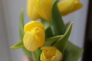 Длинные истории