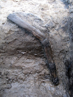 Орудия труда и метательное оружие