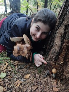 Осень в Петербурге? Езжайте по грибы. Помогает выжить))