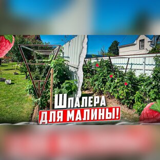 ШПАЛЕРА ДЛЯ МАЛИНЫ