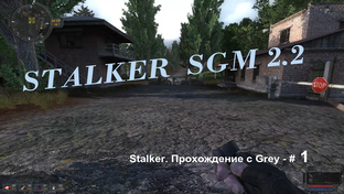 STALKER SGM 2.2