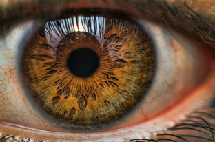 7РАССУЖДЕНИЙ