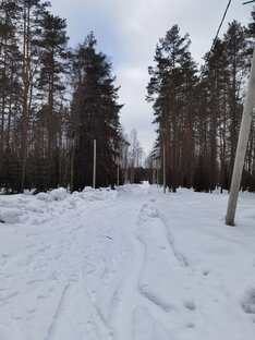 Перед началом строительства. 