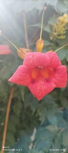 Для любимых на память