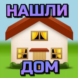 НАШЛИ ДОМ🐱🐕❤