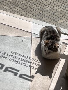 Российский Университет Спецназа 