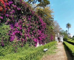 Португалия и ее сады