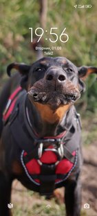 Юмор, стихи, мемы и пр. 