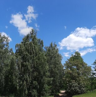 Красоты природы 