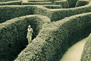 РОДИТЕЛЬ & ЛАБИРИНТ БЕССИЛИЯ