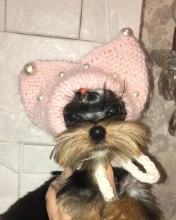 Наряды и стрижки Юми