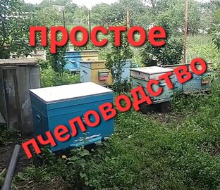 Простое пчеловодство