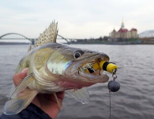 Спиннинг круглый год