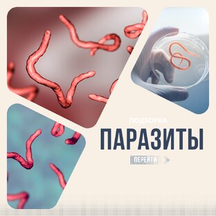 Паразиты и детокс