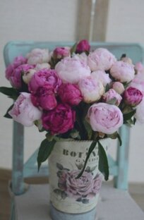 Доброе цветочное утро! 