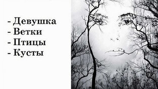 Тесты в шутку и в серьез.