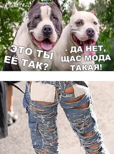 Юмор/приколы. Humour/jokes.