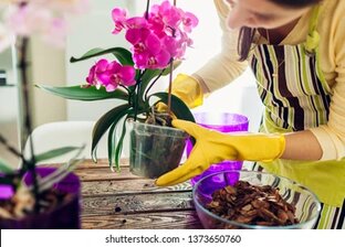 Секреты ухода