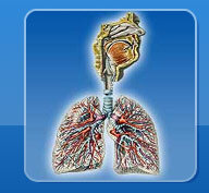 Профессиональная патология органов дыхания