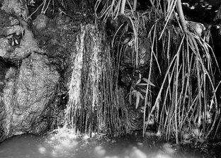 Про родительско-детские отношения