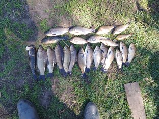 Рыбалка на поплавок 