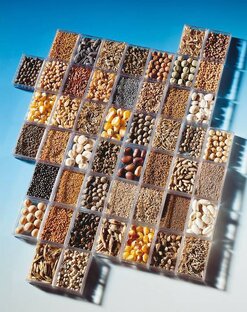 Влагомеры зерна