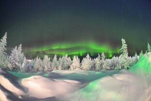 Охотник с Севера