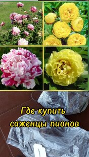 Распаковка