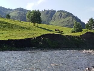 И носило меня в горах