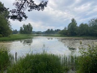 Летняя рыбалка.