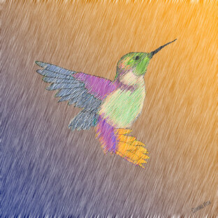 Загадки Колибри