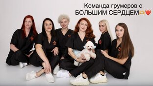 Команда грумеров с большим сердцем! 