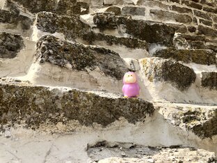 Псков и Псковская область