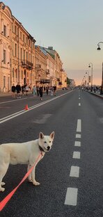 Путешествия