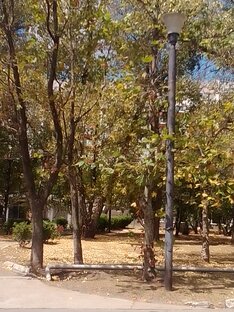 Природа и животные обитатели