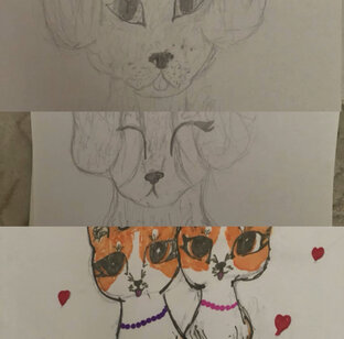 Рисунки животных 