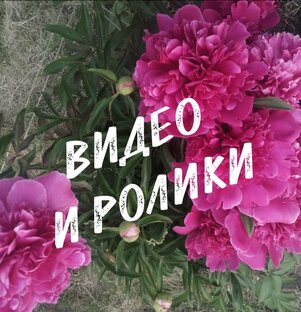 ВИДЕО и РОЛИКИ 
