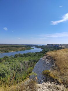 2022 Волгоградская область
