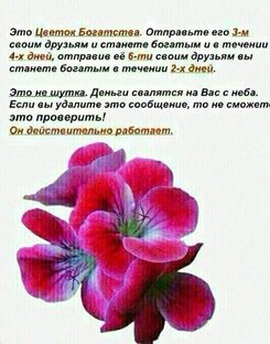 Как я хотела посадить 🌸🌺🌻🌹🌷🌼💐🌸🌺🌻🌹🌷🌼💐🌸🌺🌻🌹🌷🌼💐