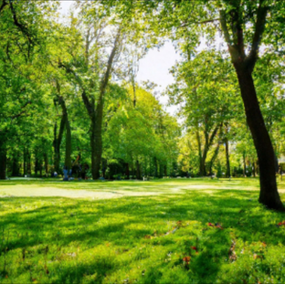 Берегите Природу - "Мать  Вашу"! 