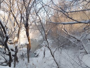 Рецепты