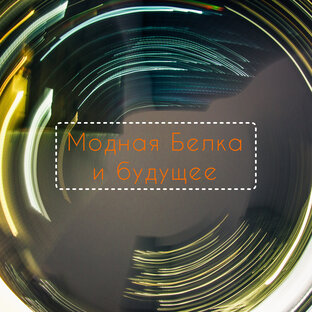 Модная Белка и будущее