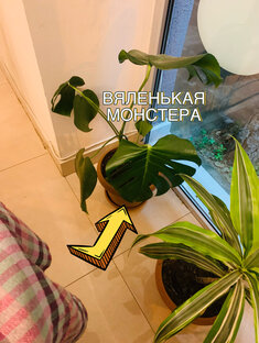 Консультации 