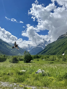Приэльбрусье и Домбай