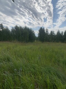 Отдых. Медитация. Расслабиться!