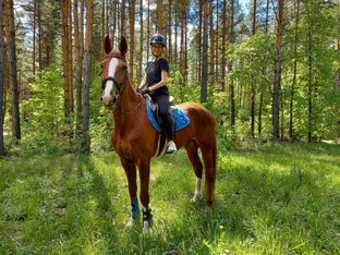 Записки начинающего всадника