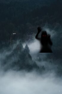 Тени в темноте 